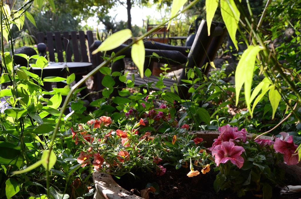 Vitrage Holiday Village And Spa Beit Hillel Esterno foto